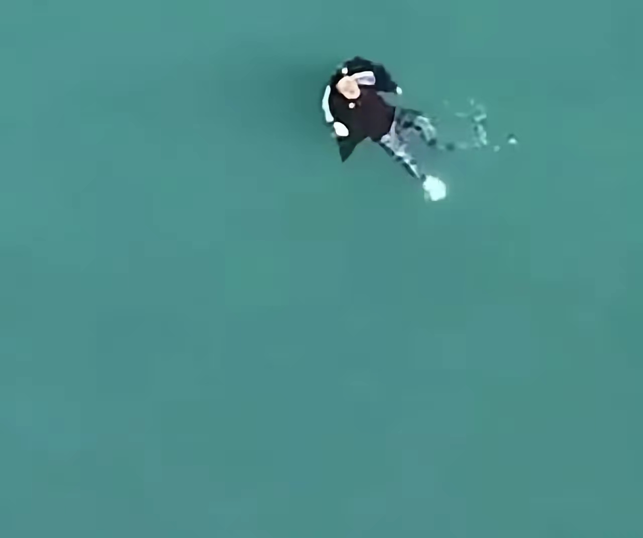 爆冷！游泳强队意外出局震惊全场的简单介绍