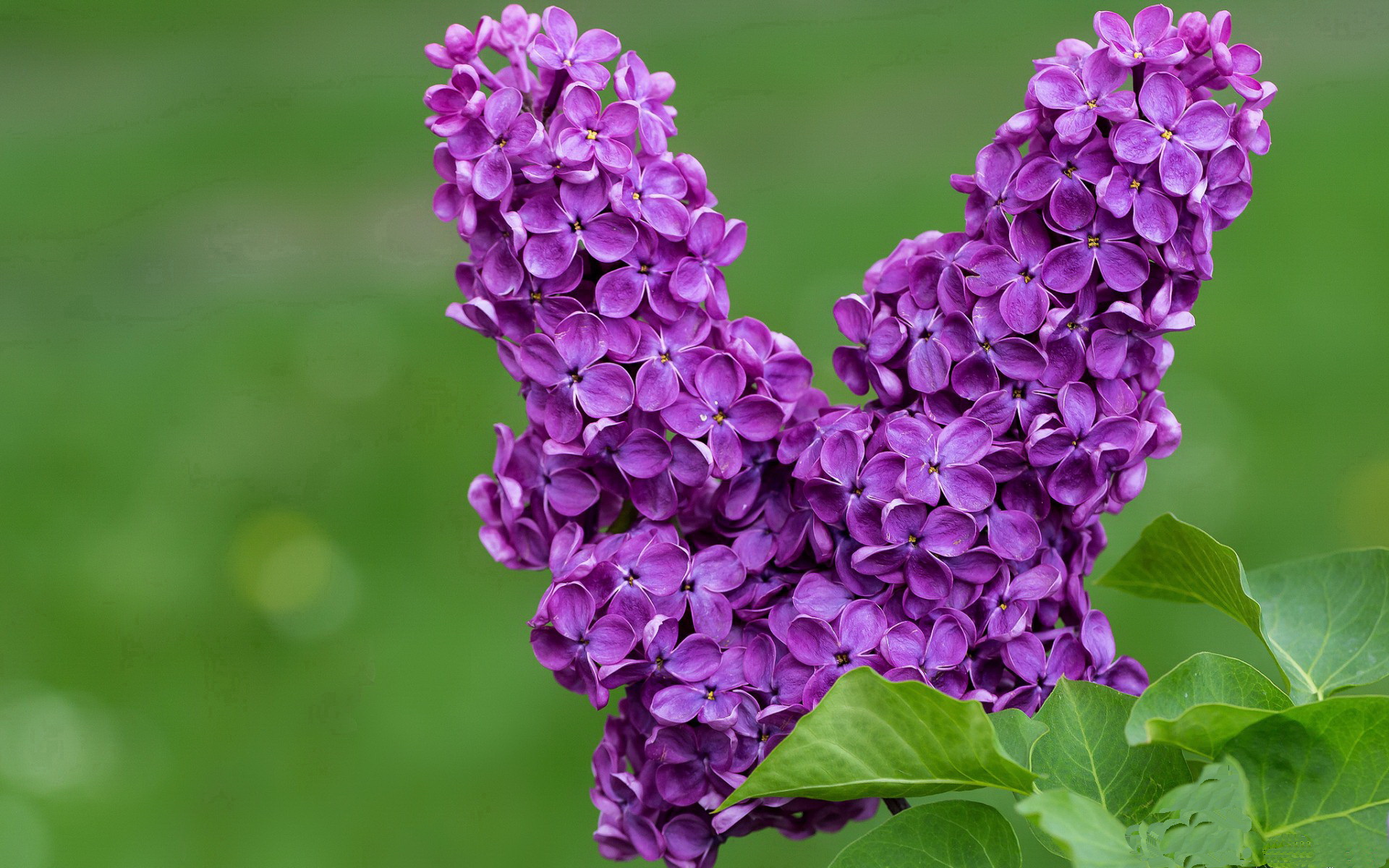 红土试炼,纳达尔在蒙特卡洛铺就法网逆转的荆棘王座