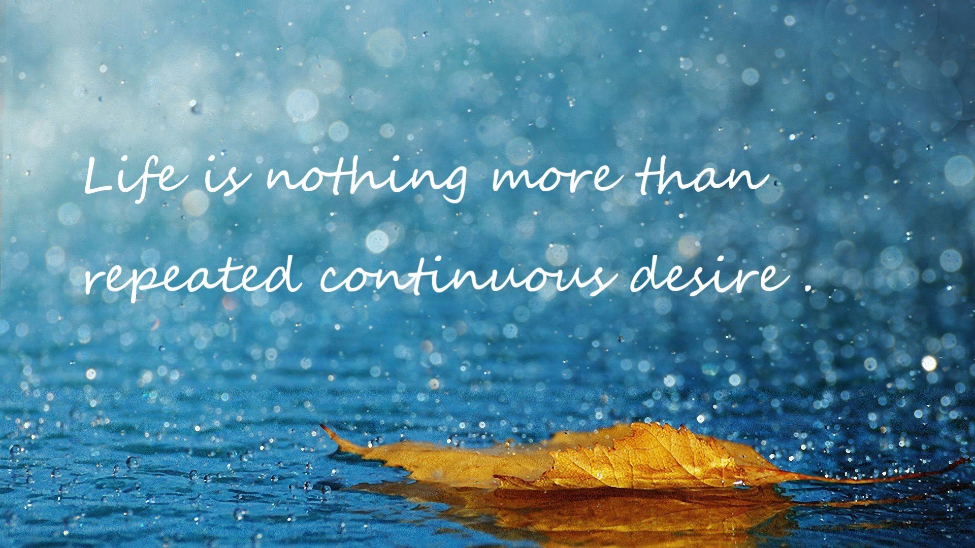 爱游戏娱乐-时空裂缝里的外滩哨声，当NBA雷霆队客场掀翻上海大鲨鱼