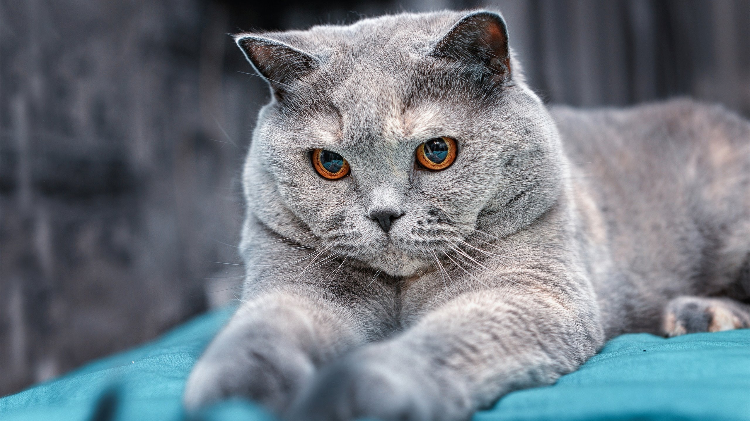 两场夜色，一种注解