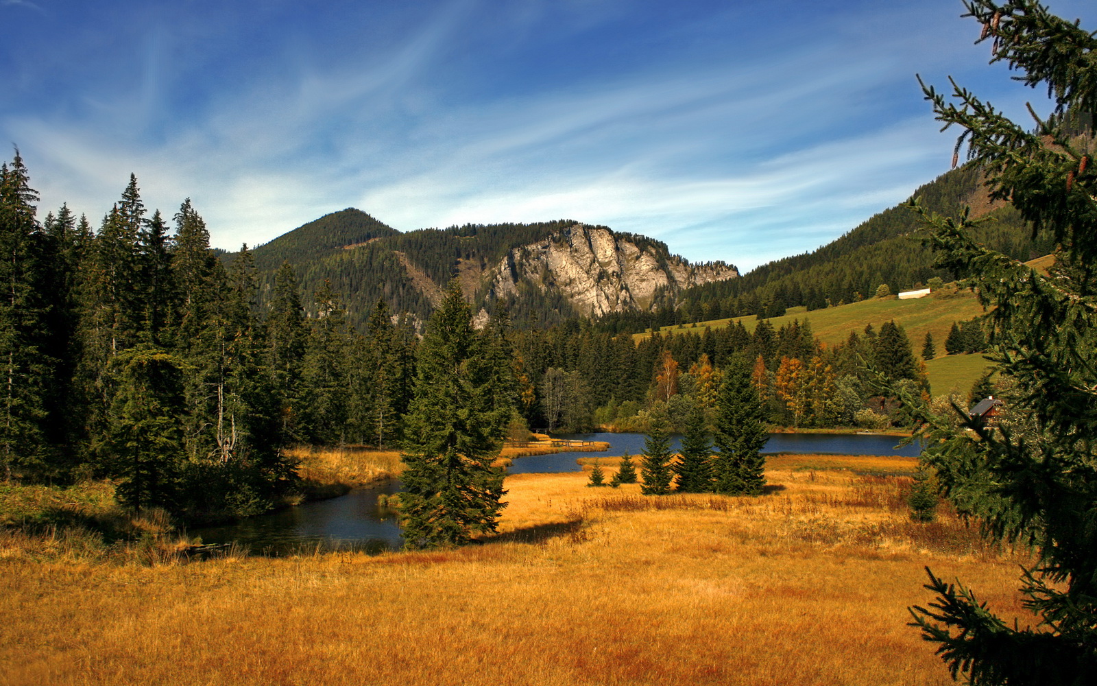 爱游戏官方-冰与火的舞蹈，黄喜灿的魔法让秘鲁扼住阿根廷的咽喉