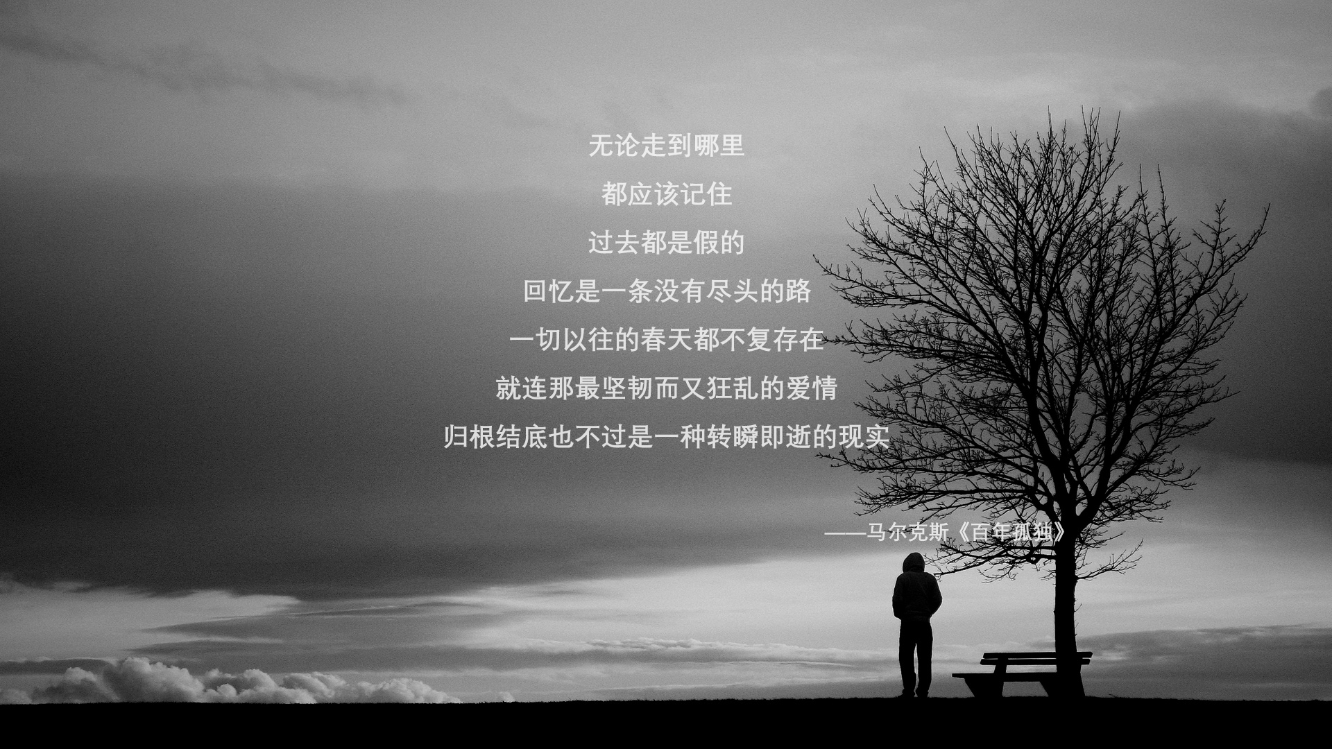 黑色羽翼，当欧冠淘汰赛之夜被一名沉默者的怒吼照亮