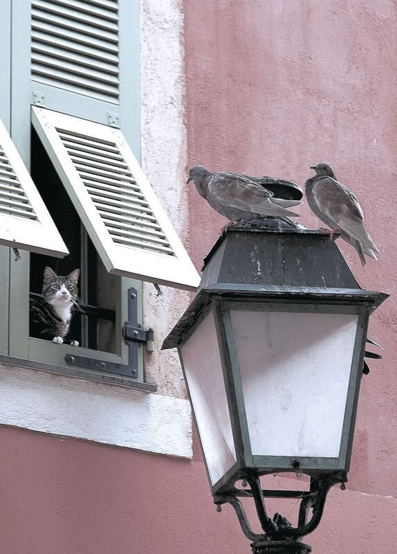 东方迷雾，当欧冠决赛遇上中国的莱比锡红牛封锁线