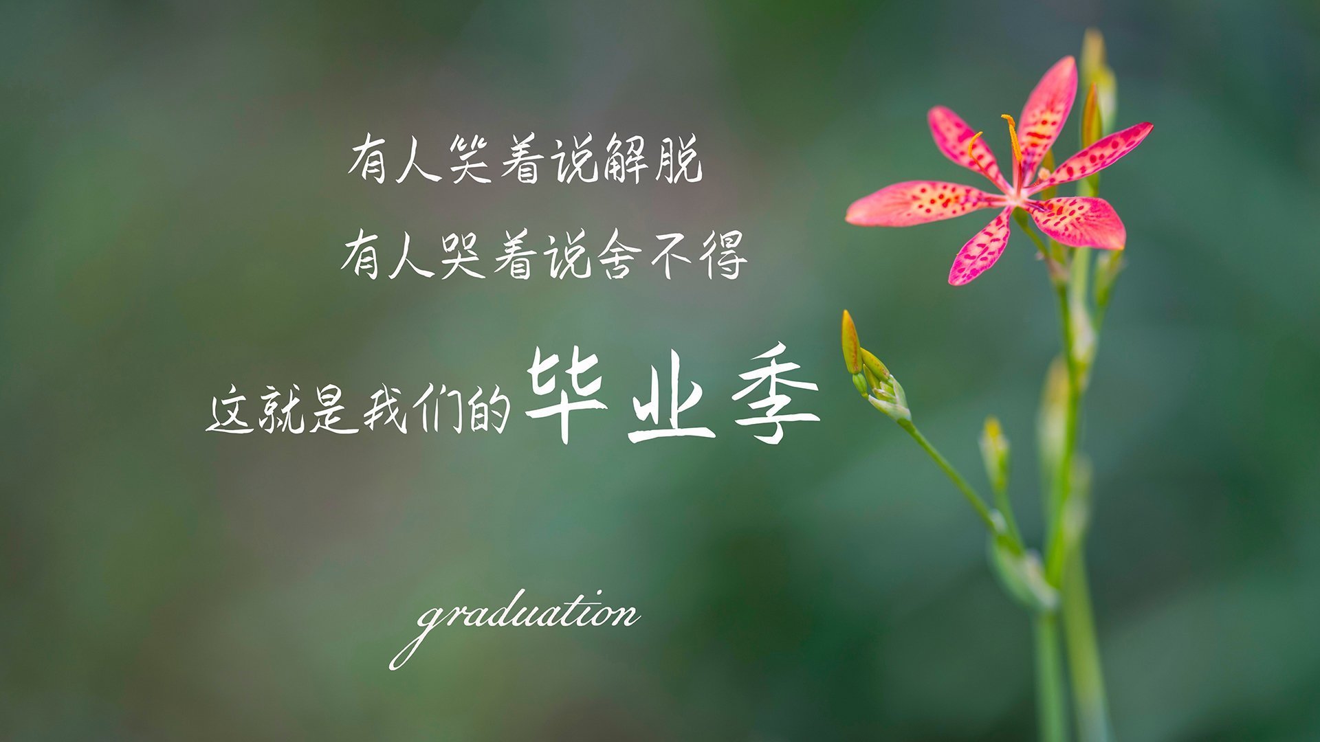 当东契奇化身控场大师，湖人筑起叹息之墙—现代篮球的两种统治力叙事