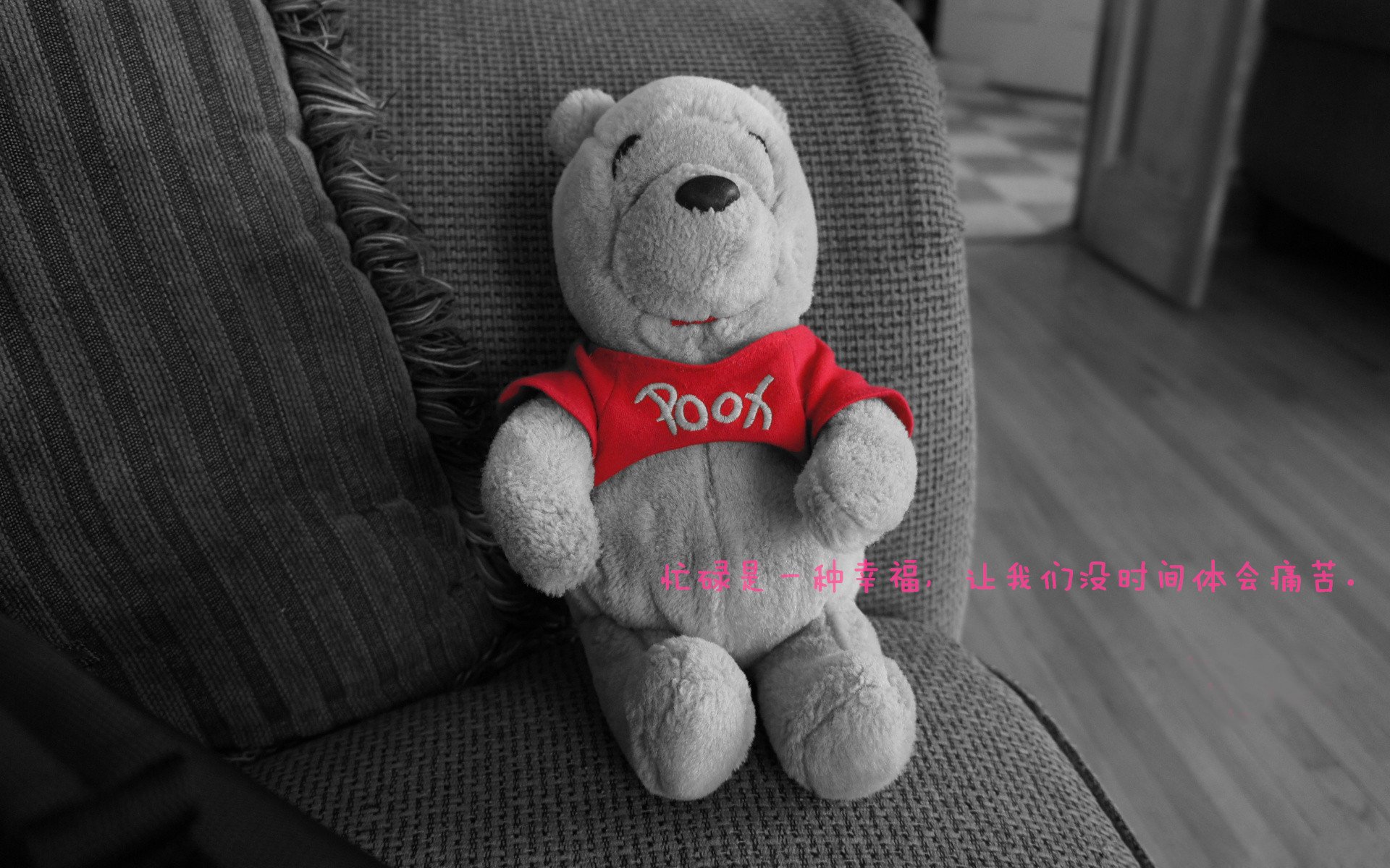 唯一焦点，猛龙在世界排名争夺战中强行终结吉林队