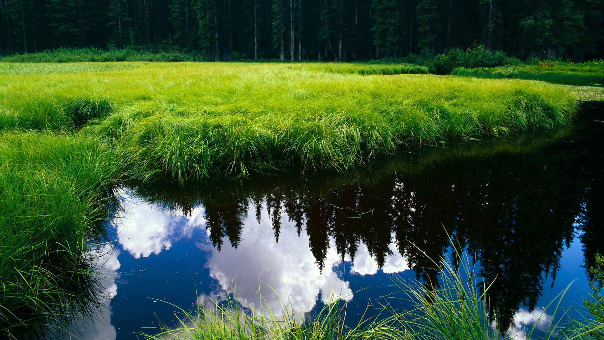 风暴之眼，皮克满分指挥，马里连续攻击波淹没厄瓜多尔