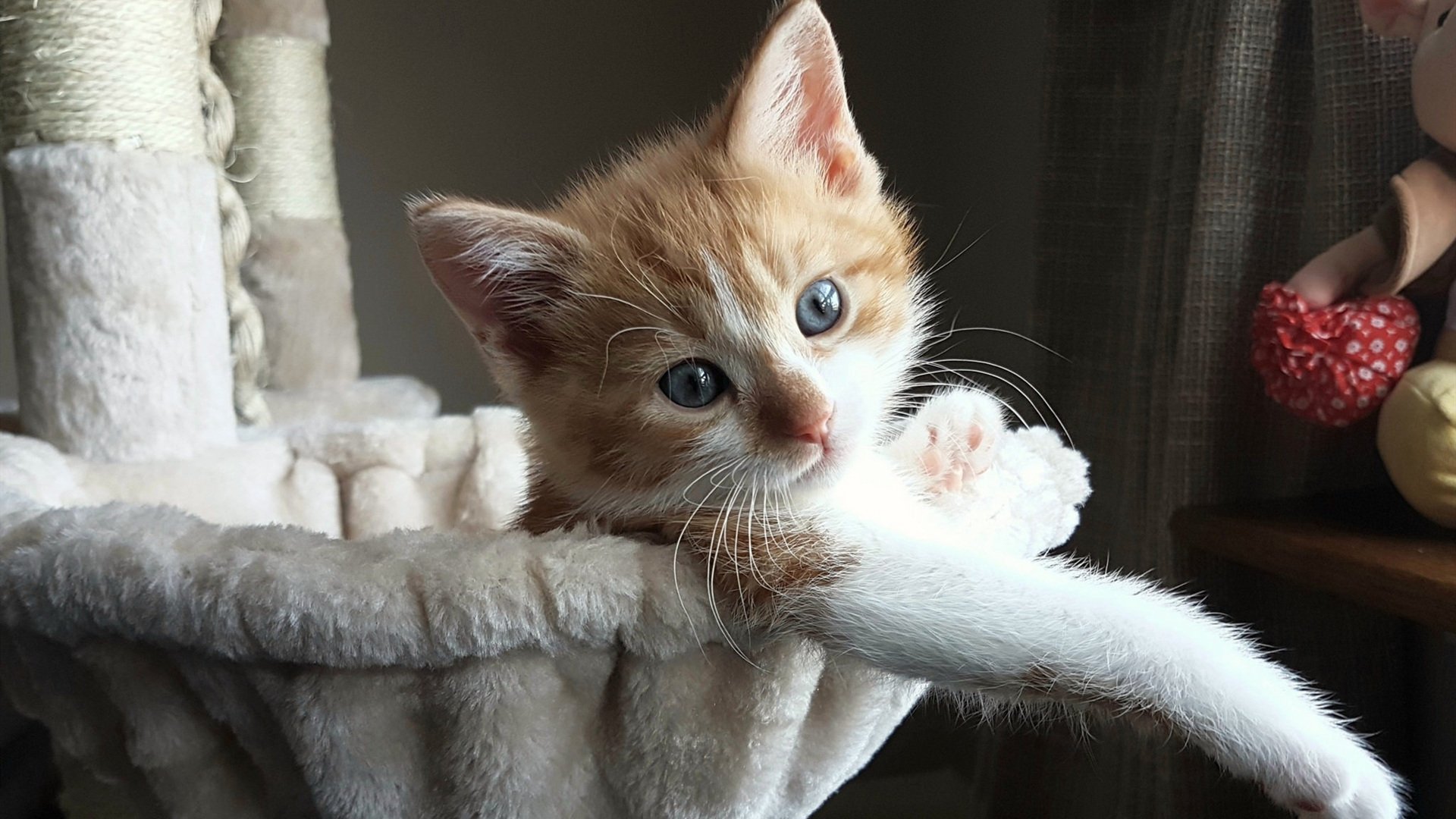 马德里竞技，没有终场哨的胜利