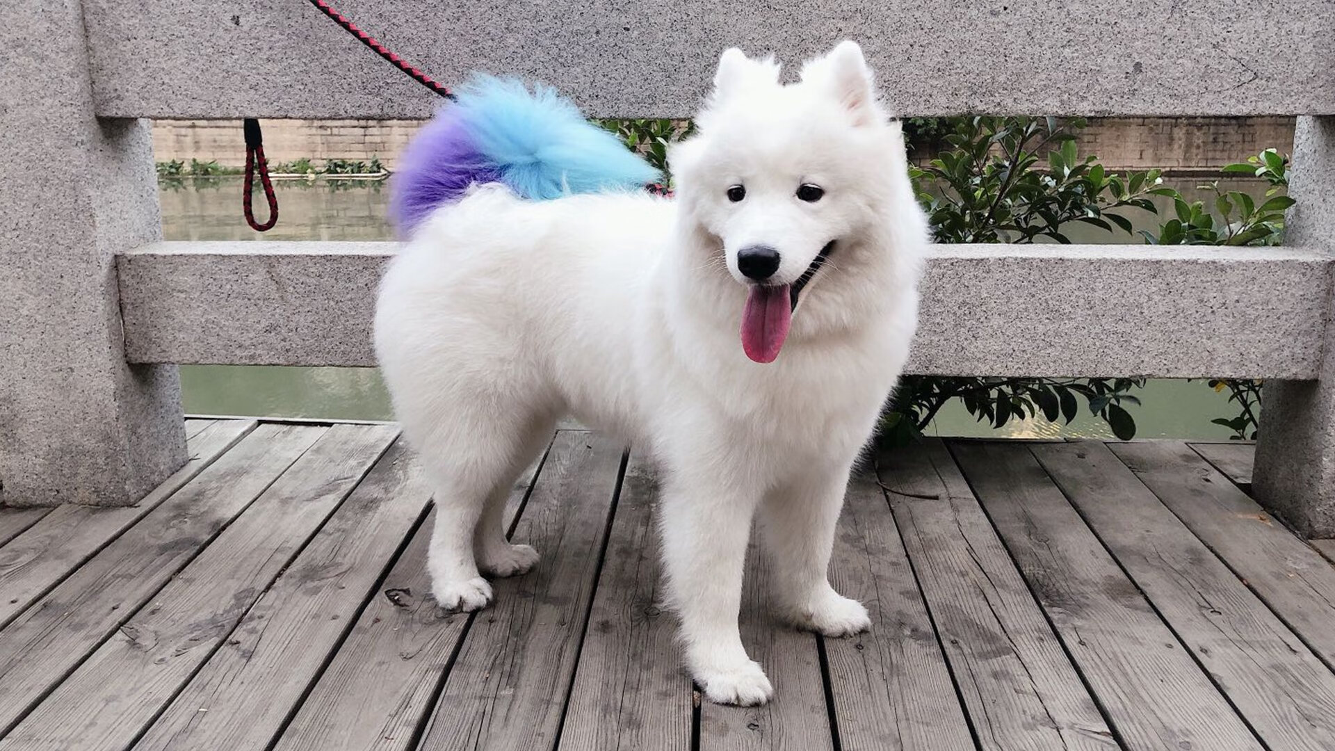 当神话防线遭遇南美烈焰，迪亚斯单骑叩关，哥伦比亚点燃古典之战