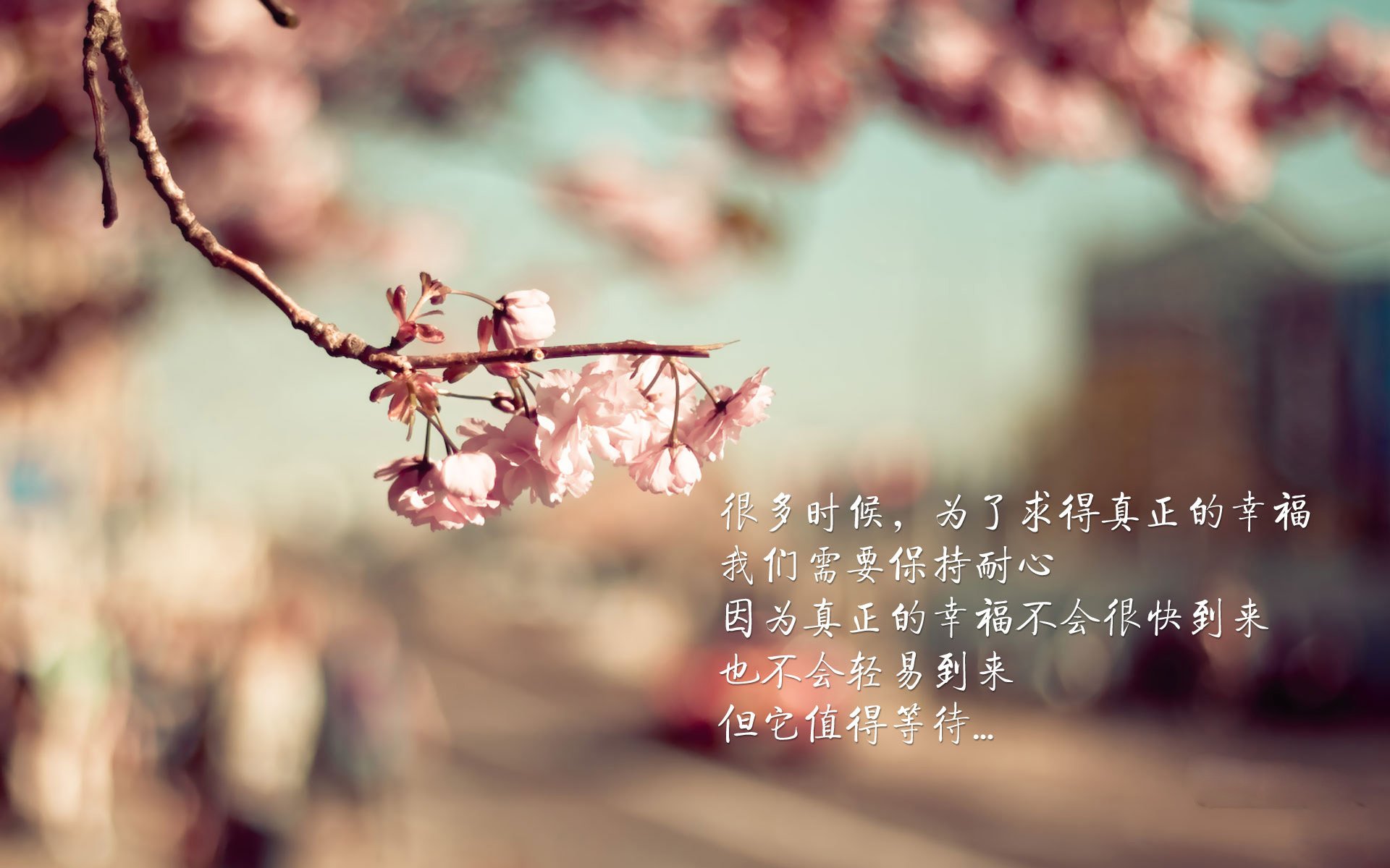 从压抑到觉醒，爱德华兹如何用150秒改写了美加墨的夜