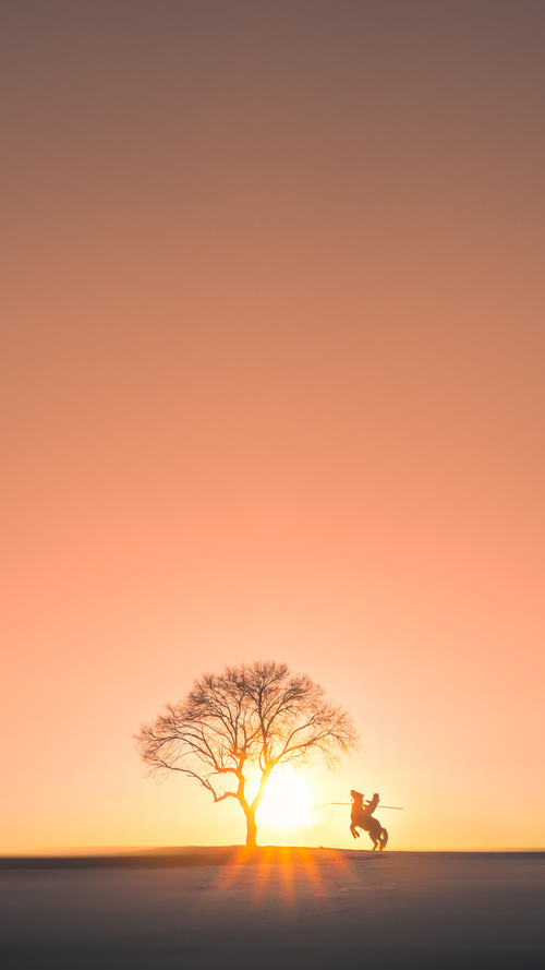 爱游戏入口-王权不可撼动，国王队战术铁幕全面压制山西，浓眉禁区独舞演绎统治美学