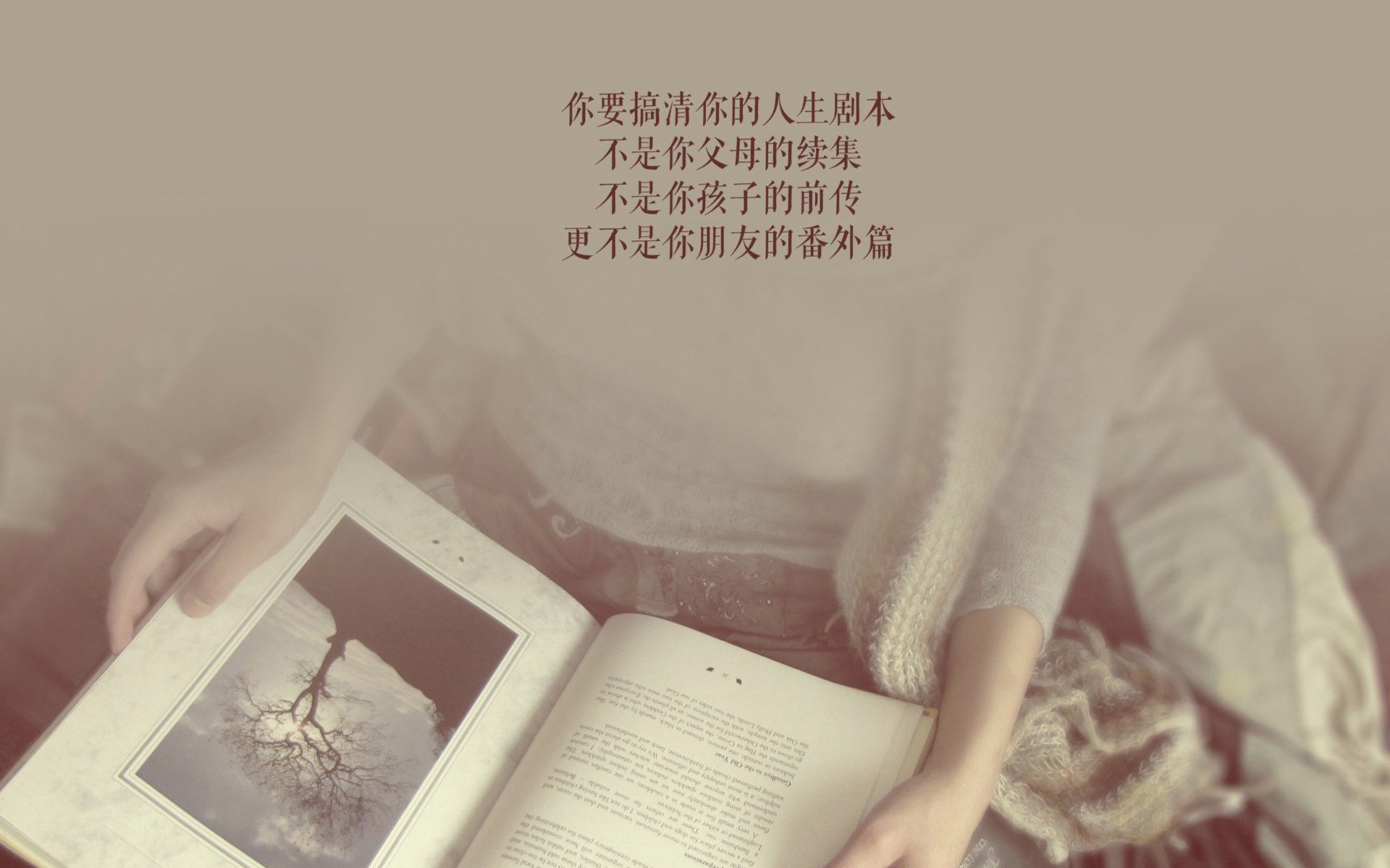 唯一的变局,2026世界杯E组,泰国如何用布罗佐维奇的抢眼与神奇的临场调整,险胜波兰